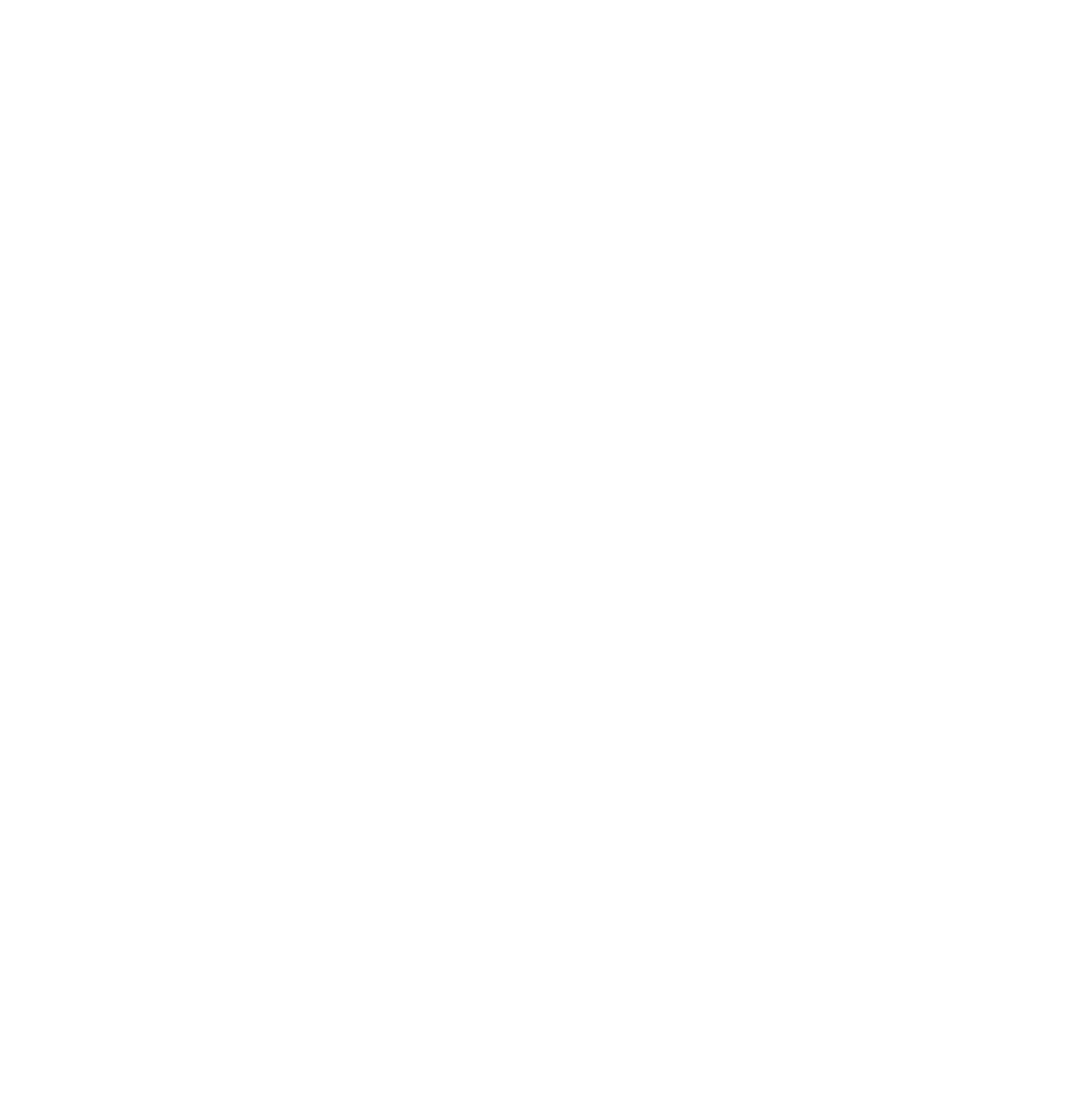 Logo 13