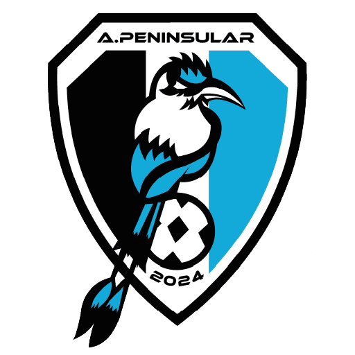 Logo 4