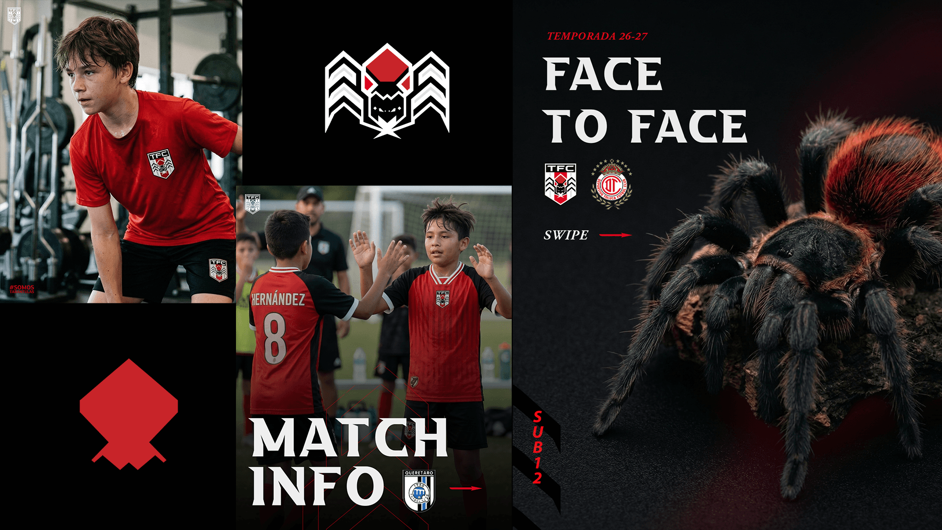 Tarantulas Detalle 12