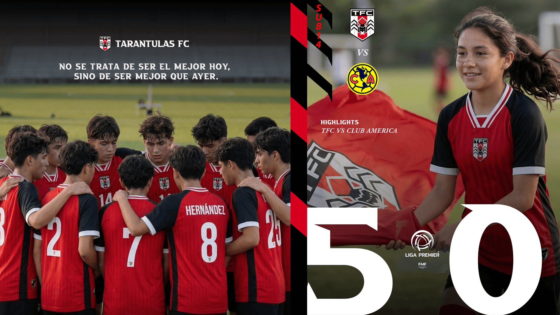 Tarantulas Detalle 13