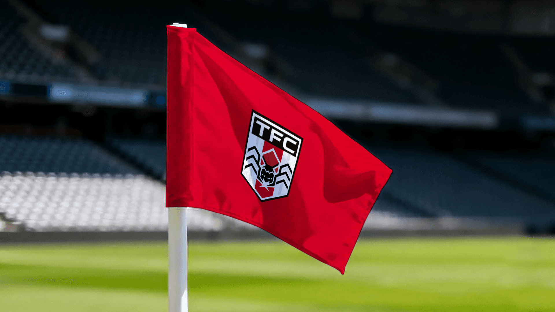 Tarantulas FC portada