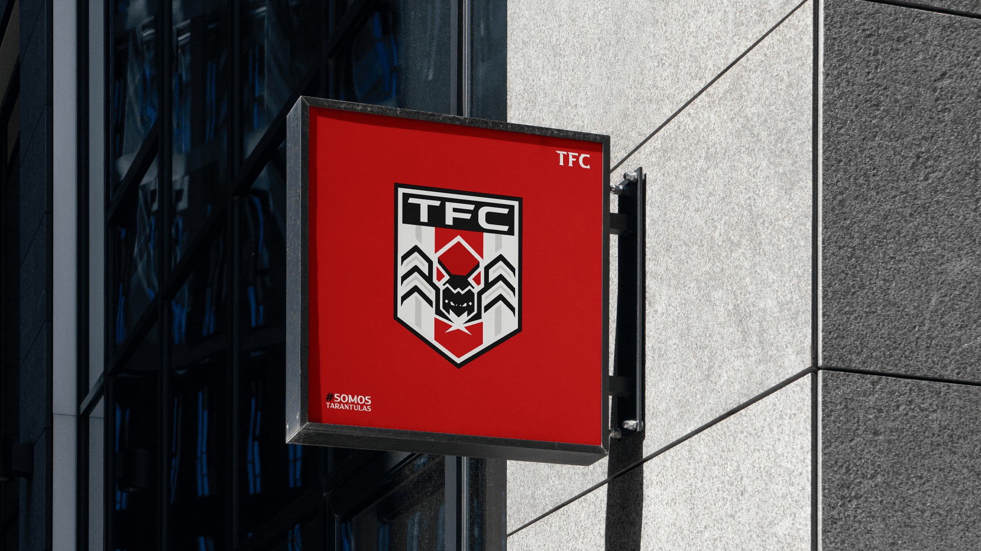 Tarantulas Detalle 16