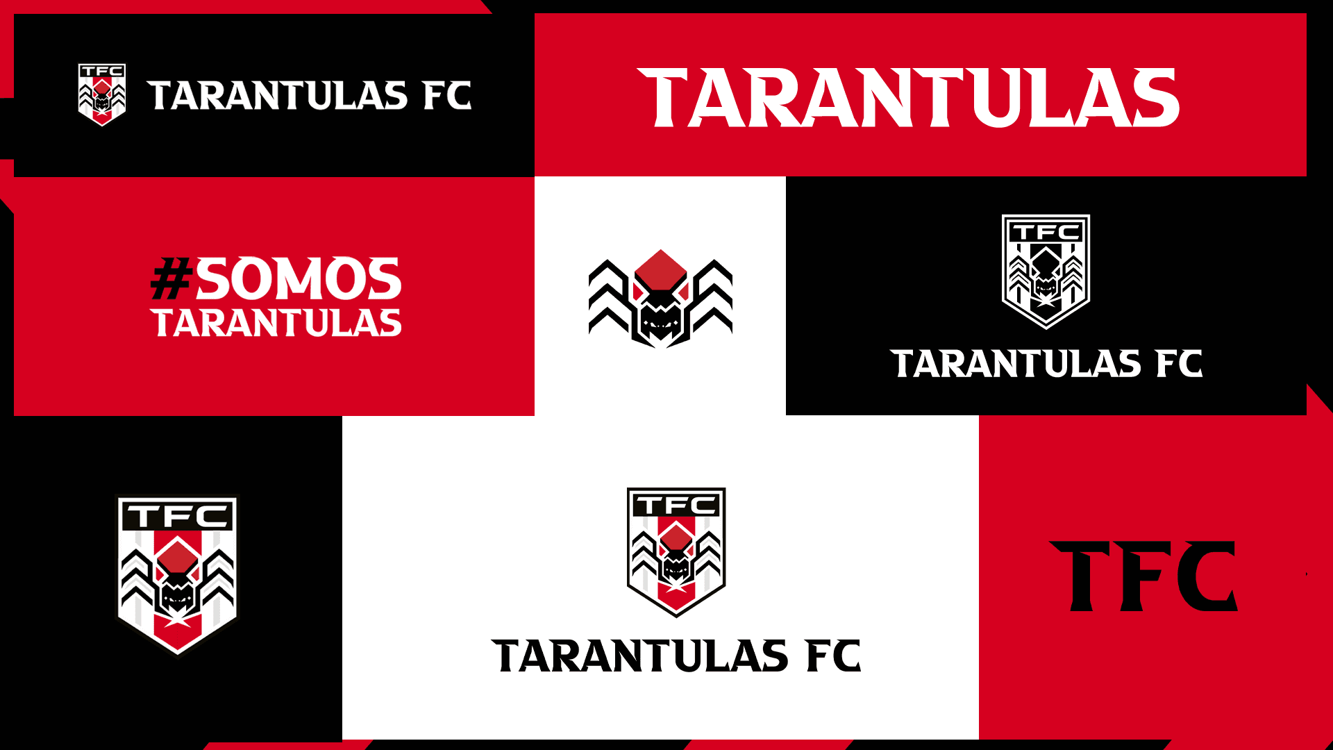 Tarantulas Detalle 06