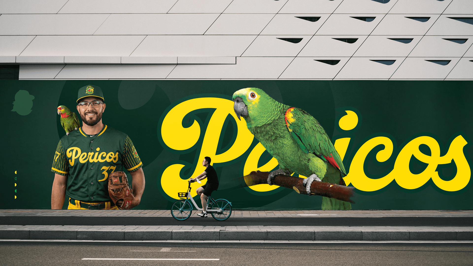 Identidad visual y branding deportivo para Pericos de Puebla, equipo de la Liga Mexicana de Béisbol